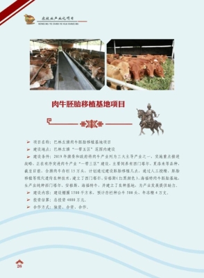 赤峰肉牛廠家電話多少號碼-第1張圖片