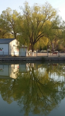 自助餃子赤峰紅山區(qū)店電話多少-第1張圖片