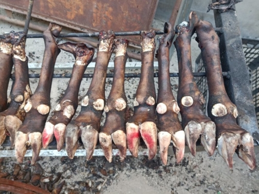 赤峰牛蹄子熟食店地址電話號碼-第1張圖片