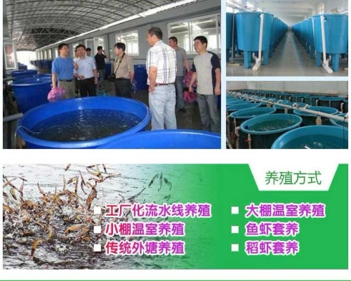 赤峰土塘蝦料廠家電話號碼-第1張圖片