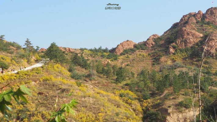 赤峰到克什克騰客車電話號碼-第1張圖片