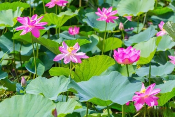 赤峰盈盈生鮮超市電話號碼查詢-第1張圖片