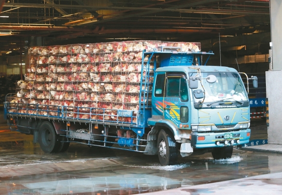 赤峰家禽屠宰場電話號碼查詢-第1張圖片