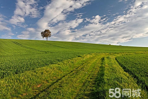 赤峰林西直播水果店電話號碼-第1張圖片