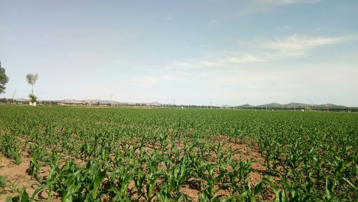 赤峰到乃林火車時(shí)刻表-第1張圖片