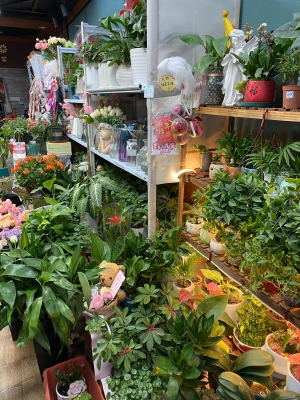 赤峰花店哪家最好-第1張圖片