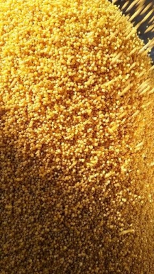 內(nèi)蒙古赤峰禮品批發(fā)電話號(hào)碼-第1張圖片