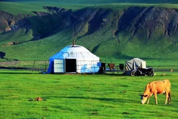 赤峰萬(wàn)達(dá)蒙古奶茶店電話號(hào)碼-第1張圖片