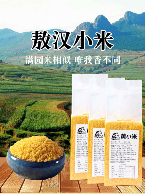 赤峰黃夾克管廠電話多少號-第1張圖片