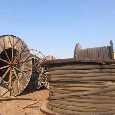 赤峰回收雞蛋殼電話地址查詢-第1張圖片