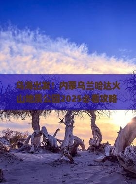 巴盟到赤峰拼車電話多少號-第1張圖片