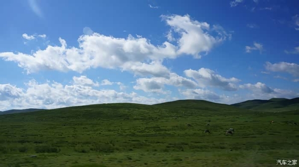 赤峰雙通駕校怎么樣-第1張圖片