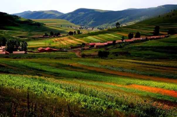 赤峰市松山農(nóng)電局電話(huà)號(hào)碼-第1張圖片