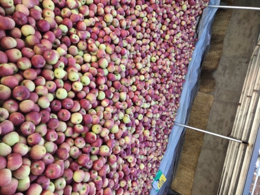 赤峰蘋果直營店電話號碼查詢-第1張圖片