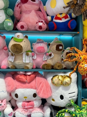 赤峰市娃娃屋電話號碼查詢-第1張圖片