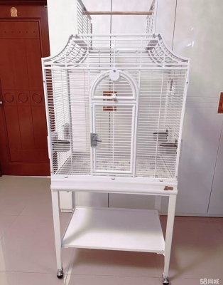 內(nèi)蒙古赤峰寵物市場(chǎng)電話號(hào)碼-第1張圖片