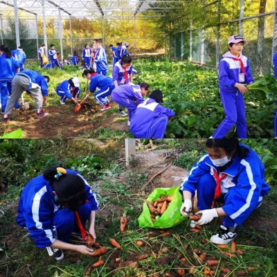 赤峰紅山區(qū)苗圃寨社區(qū)電話號(hào)碼-第1張圖片
