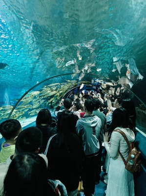 赤峰市海底樂(lè)園地址電話號(hào)碼-第1張圖片