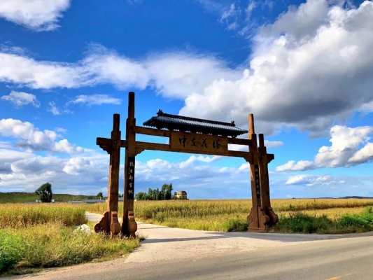 赤峰寧城綠植店電話號碼查詢-第1張圖片