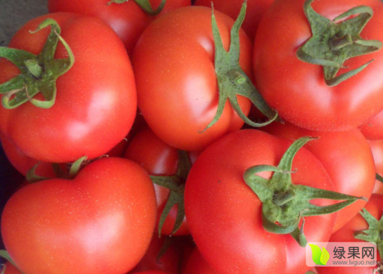 內蒙古赤峰二銨廠電話號碼-第1張圖片