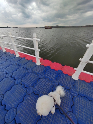 赤峰四哥水果店電話號碼-第1張圖片