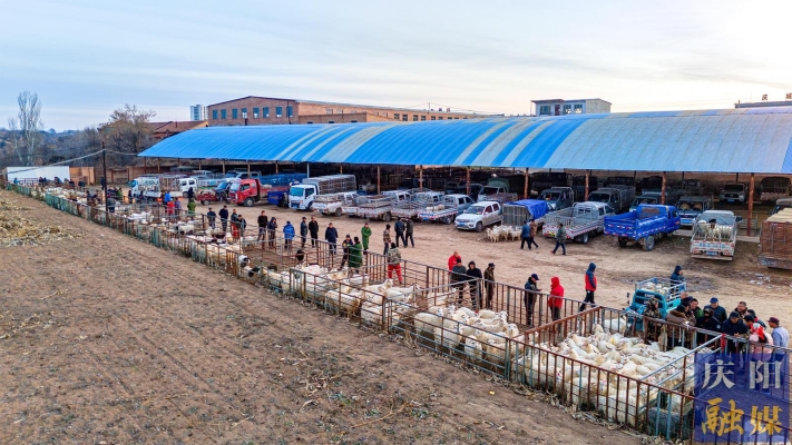 赤峰賣羊床的地方電話號(hào)碼-第1張圖片