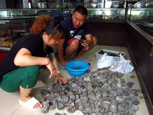 赤峰古玩城浴池電話多少號(hào)-第1張圖片