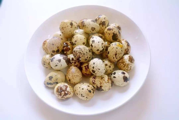 內(nèi)蒙古赤峰賣鵪鶉的電話是多少-第1張圖片