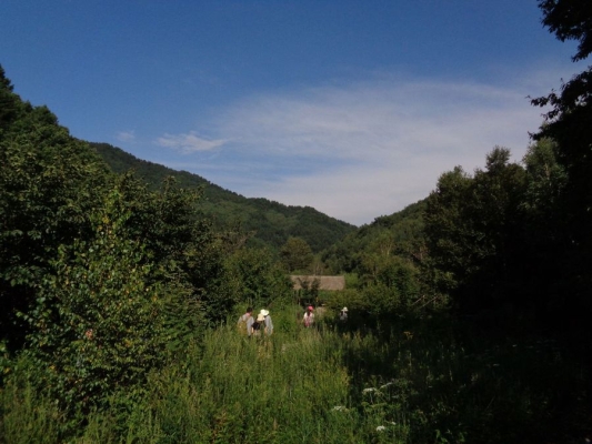 赤峰官倉(cāng)溝車管所電話號(hào)碼-第1張圖片