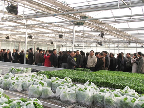 赤峰公交公司租車電話地址查詢-第1張圖片