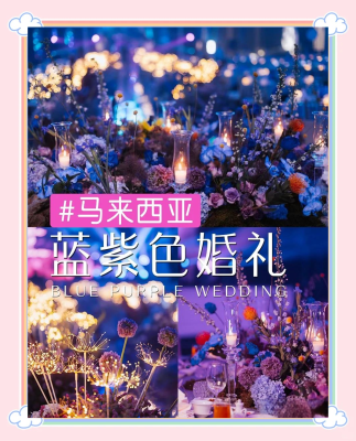 赤峰星晨海洋館地址電話號(hào)碼-第1張圖片