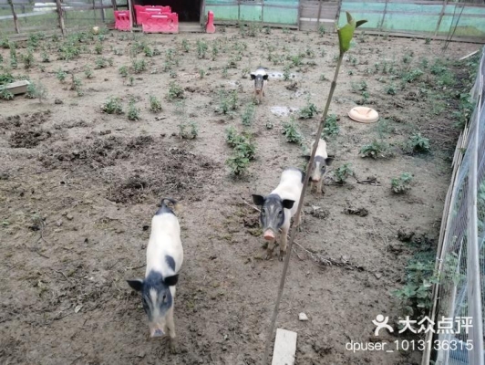 赤峰市泥巴樂園地址電話號(hào)碼-第1張圖片