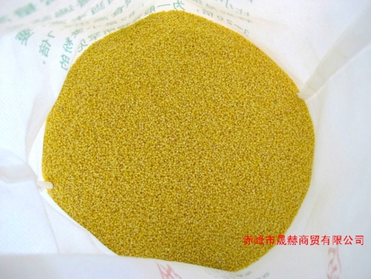 赤峰林東羊苗基地電話號碼-第1張圖片