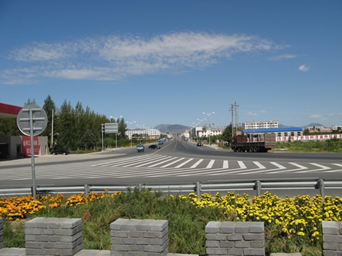 赤峰市大板鎮(zhèn)收活豬電話號碼-第1張圖片