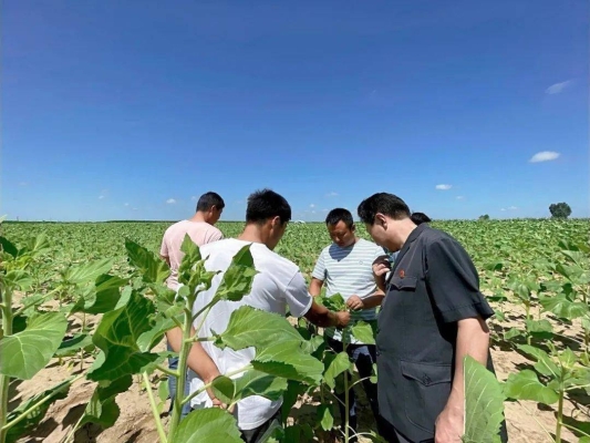 赤峰收購草子公司地址電話號(hào)碼-第1張圖片