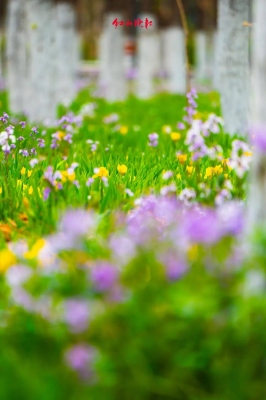 赤峰花火網(wǎng)吧電話號碼多少號-第1張圖片