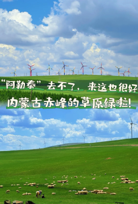 赤峰星寶汽車銷售電話號碼查詢-第1張圖片