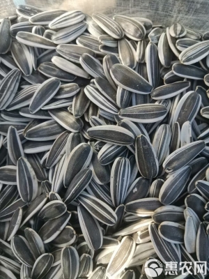 赤峰旗收瓜子電話號(hào)碼查詢-第1張圖片