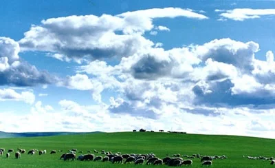 赤峰射箭訓(xùn)練基地電話多少號(hào)-第1張圖片