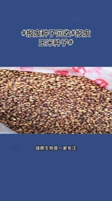 赤峰玉米帶皮收購電話號碼是多少-第1張圖片