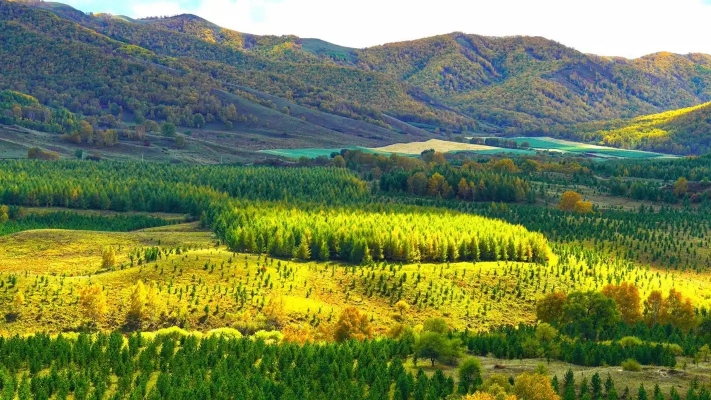 赤峰烏丹摩托艇駕校電話號碼-第1張圖片