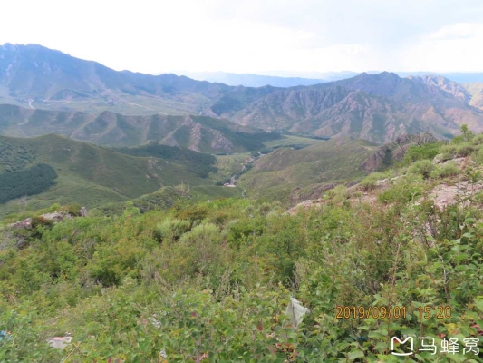 赤峰老府采蘑菇電話號碼查詢-第1張圖片