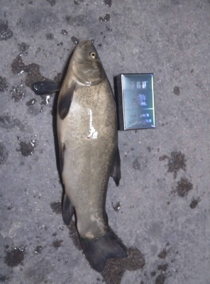 赤峰水庫魚直銷店電話地址查詢-第1張圖片