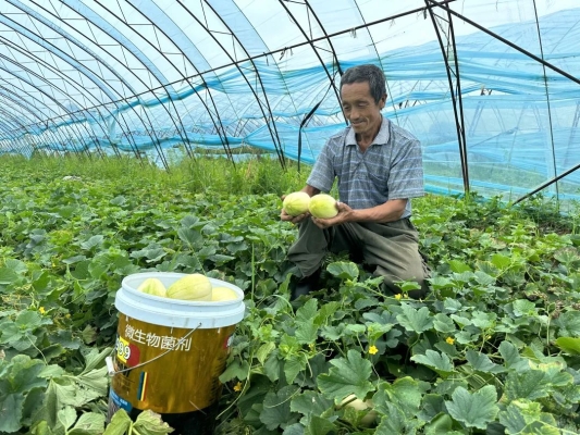 赤峰紅山水果種植基地電話號碼-第1張圖片