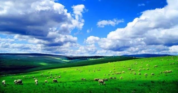 赤峰烏丹五號院社區(qū)電話號碼-第1張圖片