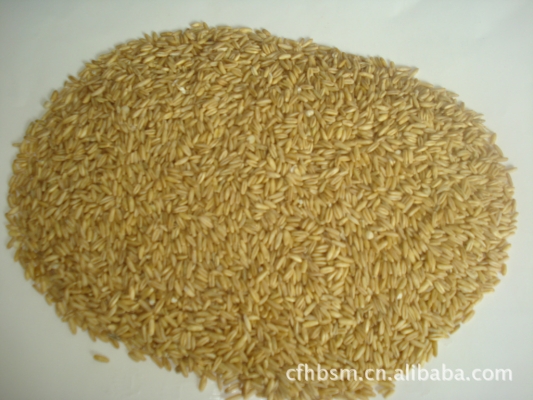 赤峰麥斯理發(fā)店地址電話號碼-第1張圖片