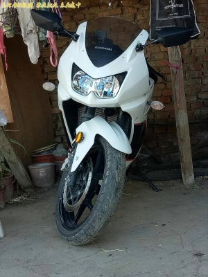 赤峰二手小忍者出售電話號碼-第1張圖片