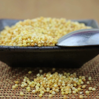 赤峰市大板花店電話號(hào)碼查詢-第1張圖片