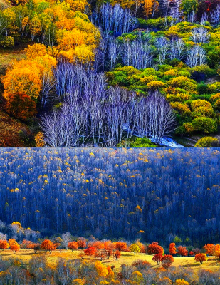 赤峰市哪里有草原-第1張圖片