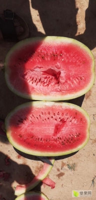 赤峰翠姐西瓜種植基地電話(huà)號(hào)碼-第1張圖片